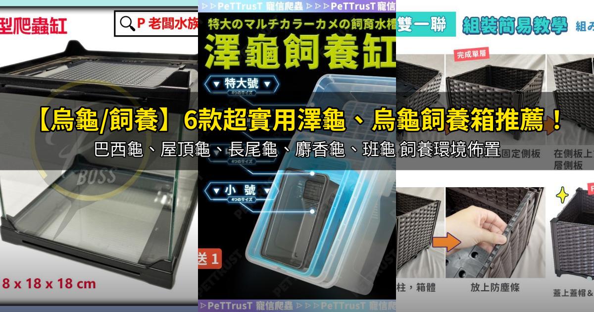 2026【烏龜/飼養】6款超實用澤龜、烏龜飼養箱推薦!巴西龜、屋頂龜、長尾龜、麝香龜、班龜 飼養環境佈置|PTT/Dcard嚴選