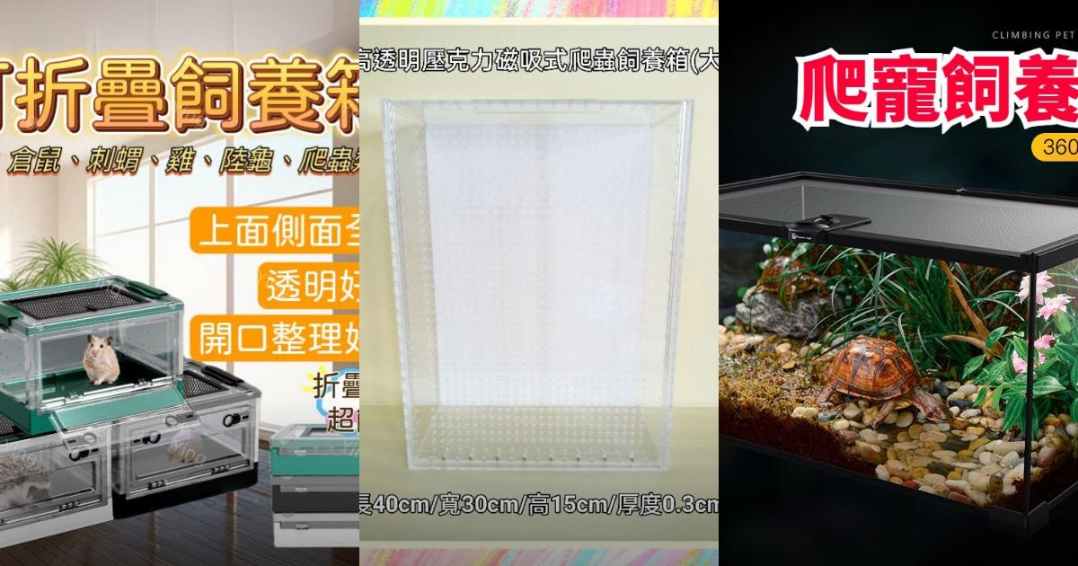 2025【蜥蜴飼養攻略】6款必看蜥蜴飼養箱推薦|透氣、防逃脫、好清潔、高透明設計,飼主安心選