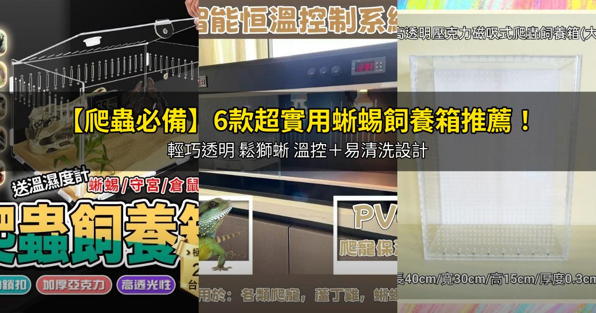 2026【爬蟲必備】6款超實用蜥蜴飼養箱推薦!輕巧透明 鬆獅蜥 溫控+易清洗設計|PTT/Dcard嚴選