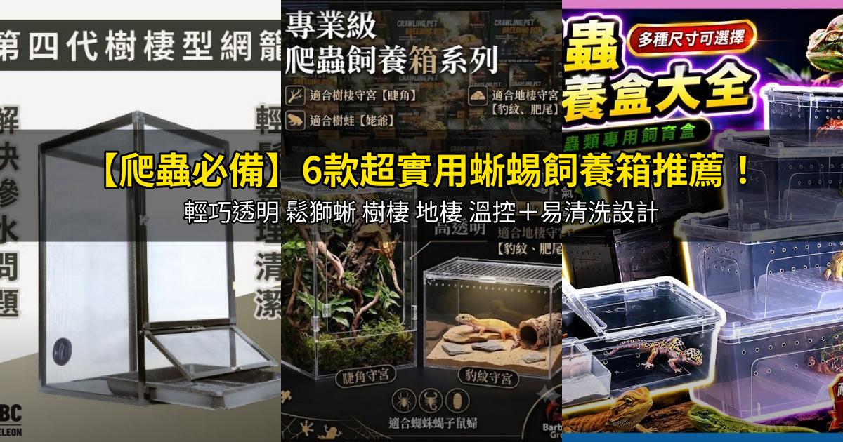 2026【爬蟲必備】6款超實用蜥蜴飼養箱推薦!輕巧透明 鬆獅蜥 樹棲 地棲 溫控+易清洗設計|PTT/Dcard嚴選