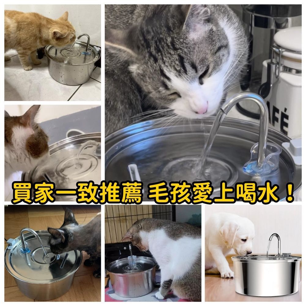 不鏽鋼水龍頭寵物飲水機