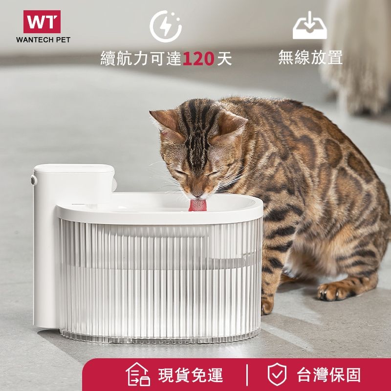 小白鯨真無線飲水機