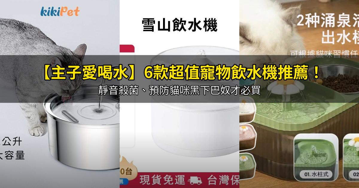 2026【主子愛喝水】6款超值寵物飲水機推薦!靜音殺菌、預防貓咪黑下巴奴才必買|PTT/Dcard嚴選