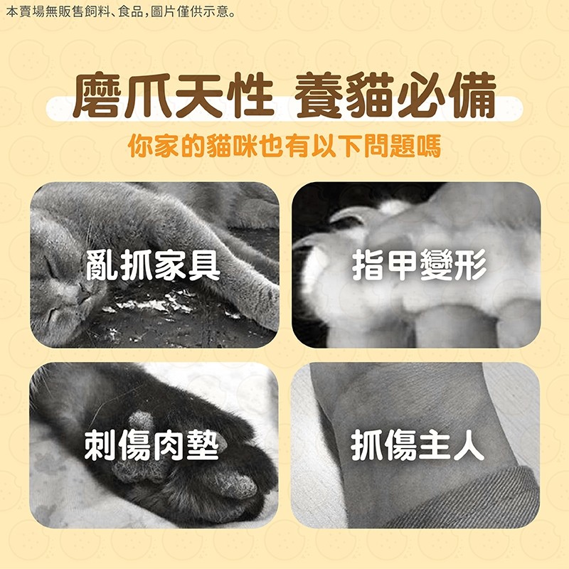 圖片2