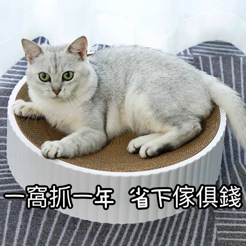 圖片3