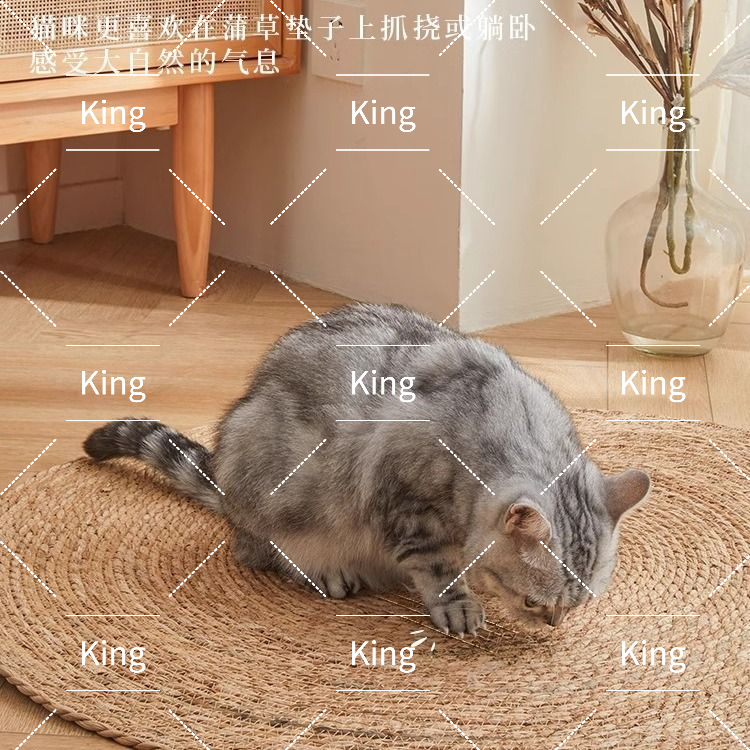 圖片2