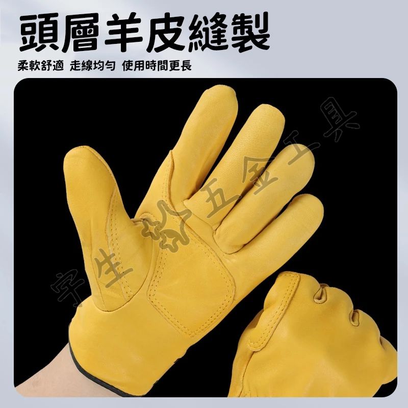 金黃色吸睛外觀