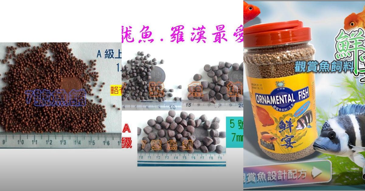 2025【魚友最愛】5款羅漢魚飼料推薦|高蛋白、增色、天然成分全攻略