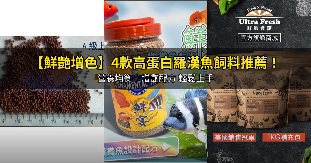2026【鮮艷增色】4款高蛋白羅漢魚飼料推薦!營養均衡+增艷配方 輕鬆上手|PTT/Dcard嚴選