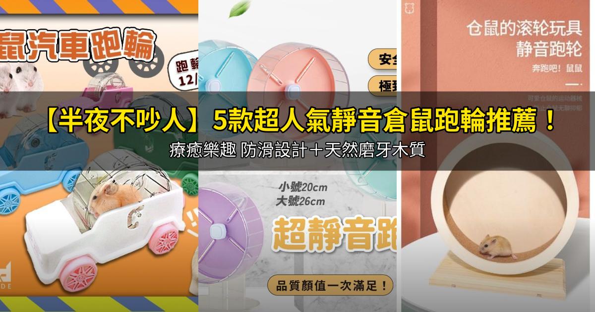 2026【半夜不吵人】5款超人氣靜音倉鼠跑輪推薦!療癒樂趣 防滑設計+天然磨牙木質|PTT/Dcard嚴選