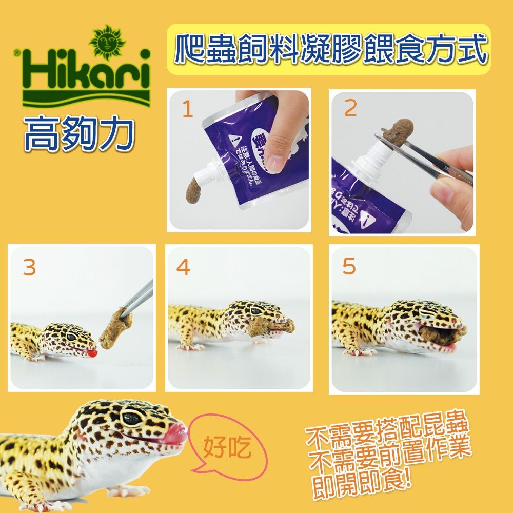 高夠力 餵食 示意圖