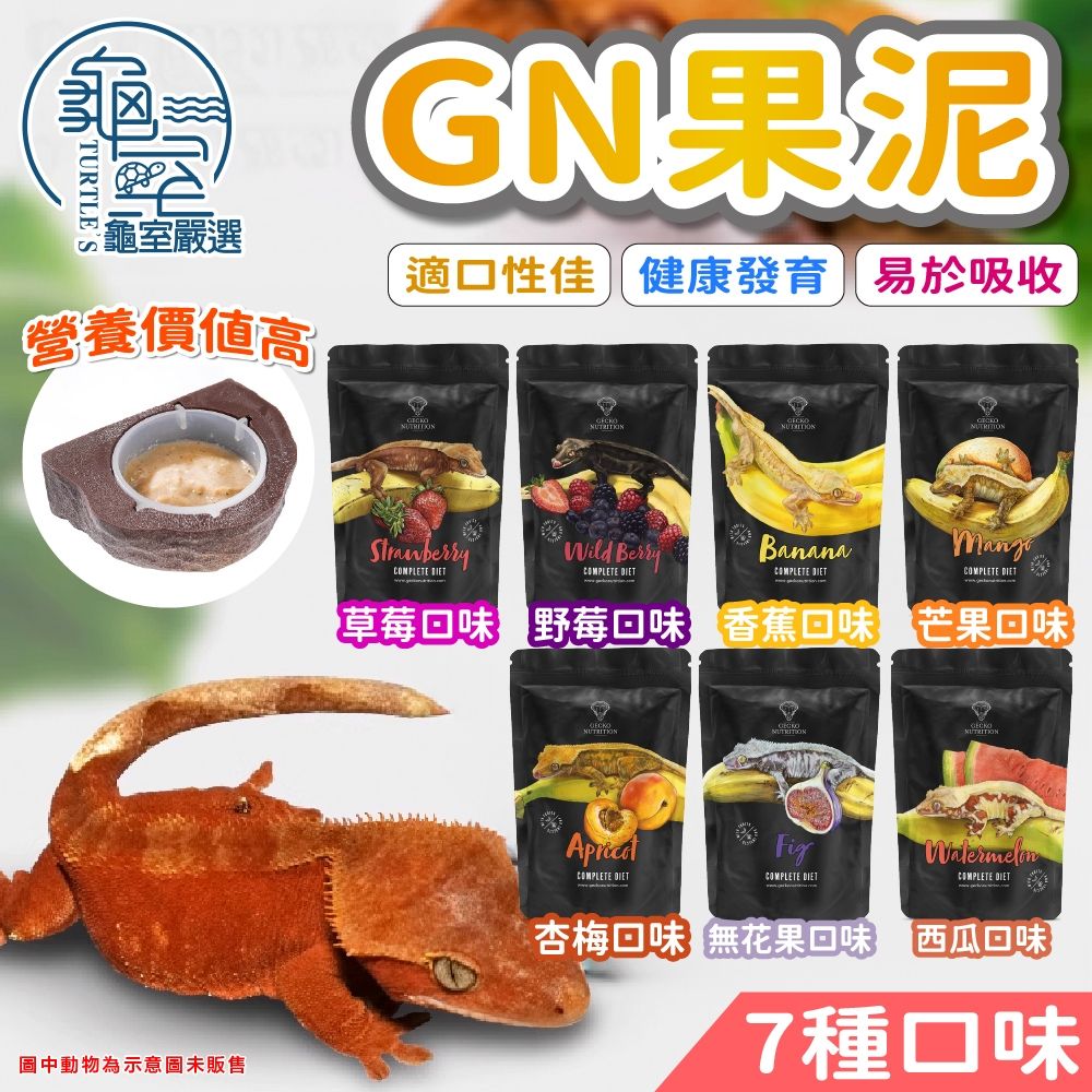 PJ小舖 GN果泥 巨人守宮 睫角守宮