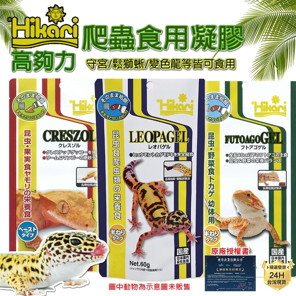 PJ小舖 高夠力 Hikari 凝膠飼料