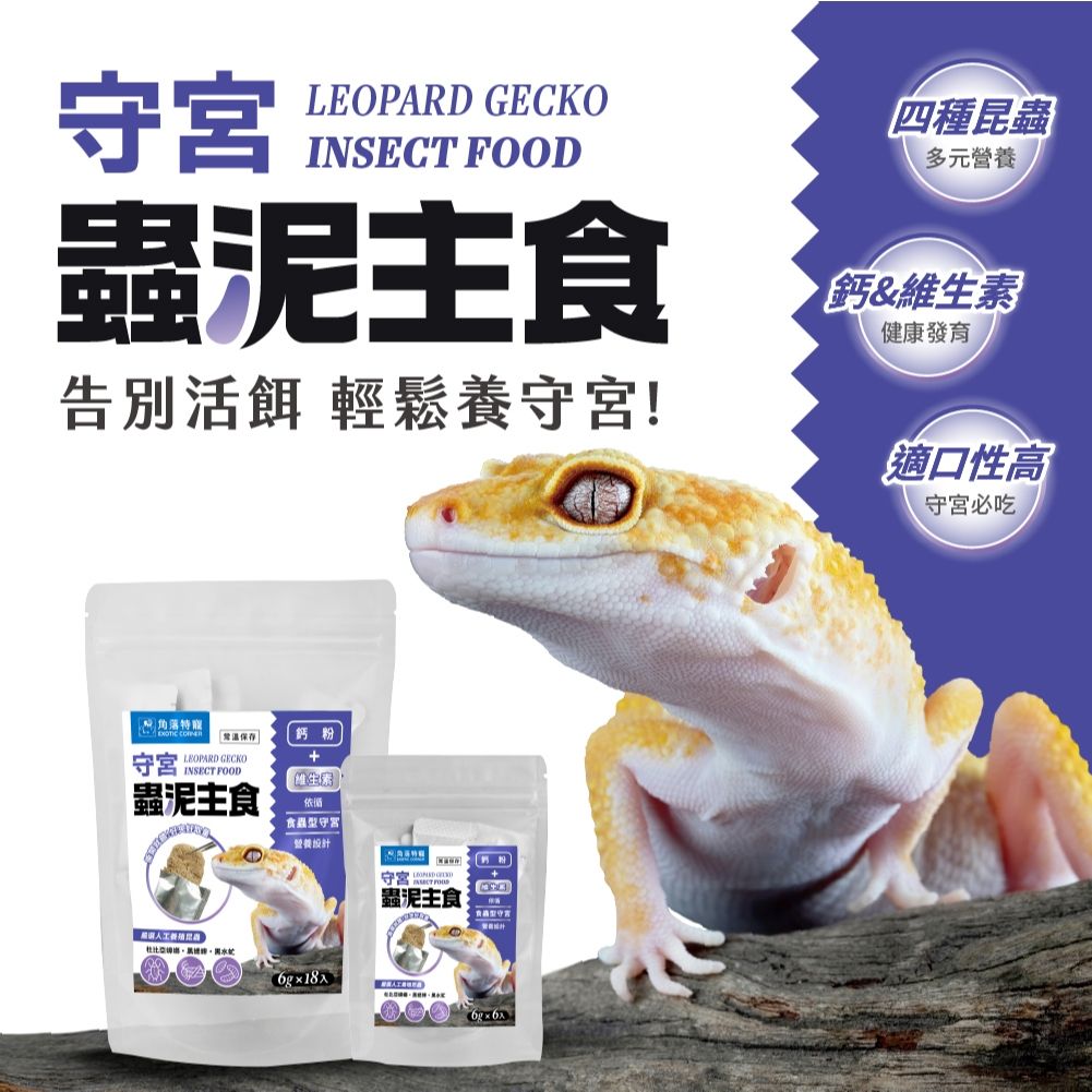 角落水族 守宮蟲泥 細節