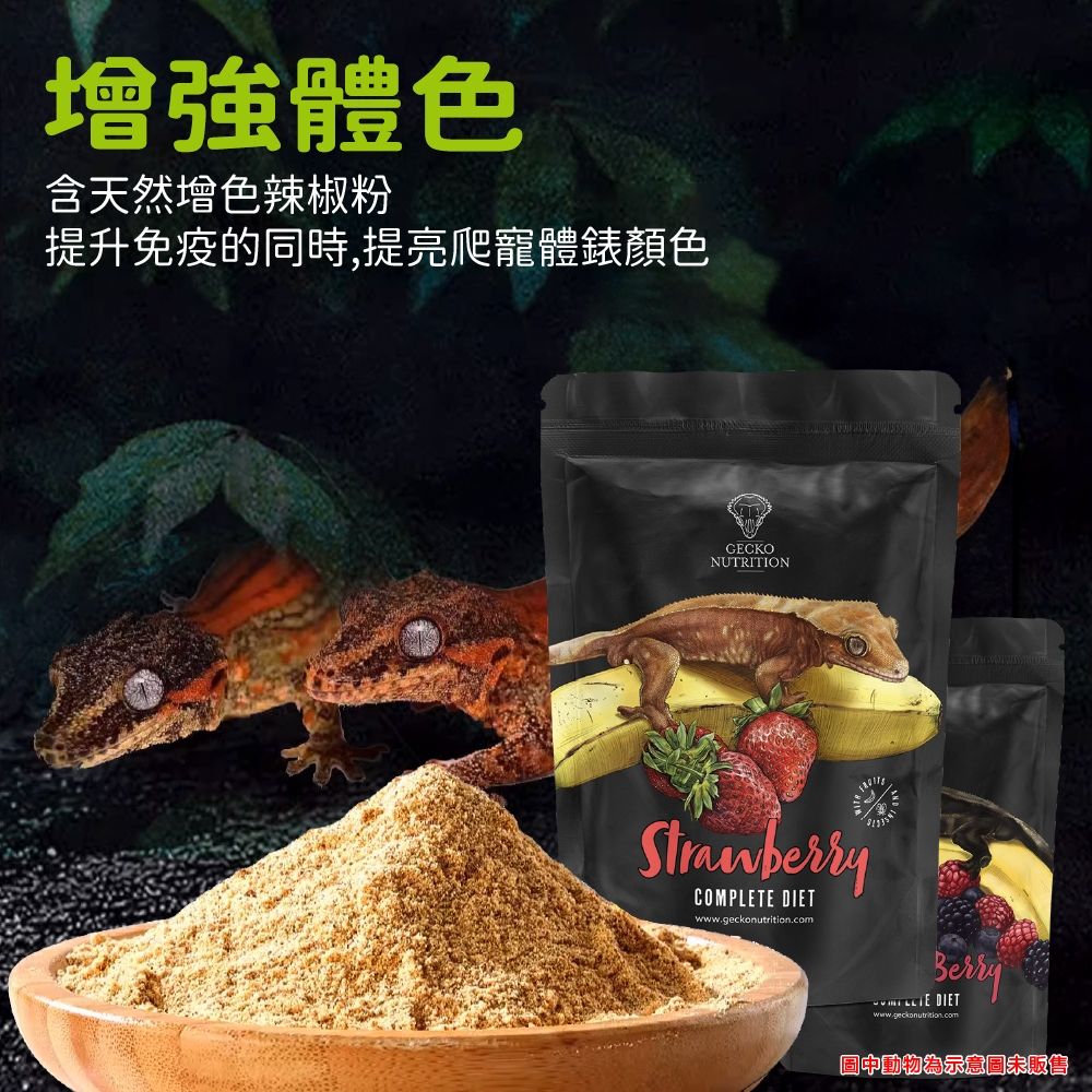 PJ小舖 GN果泥 樹棲守宮飼料