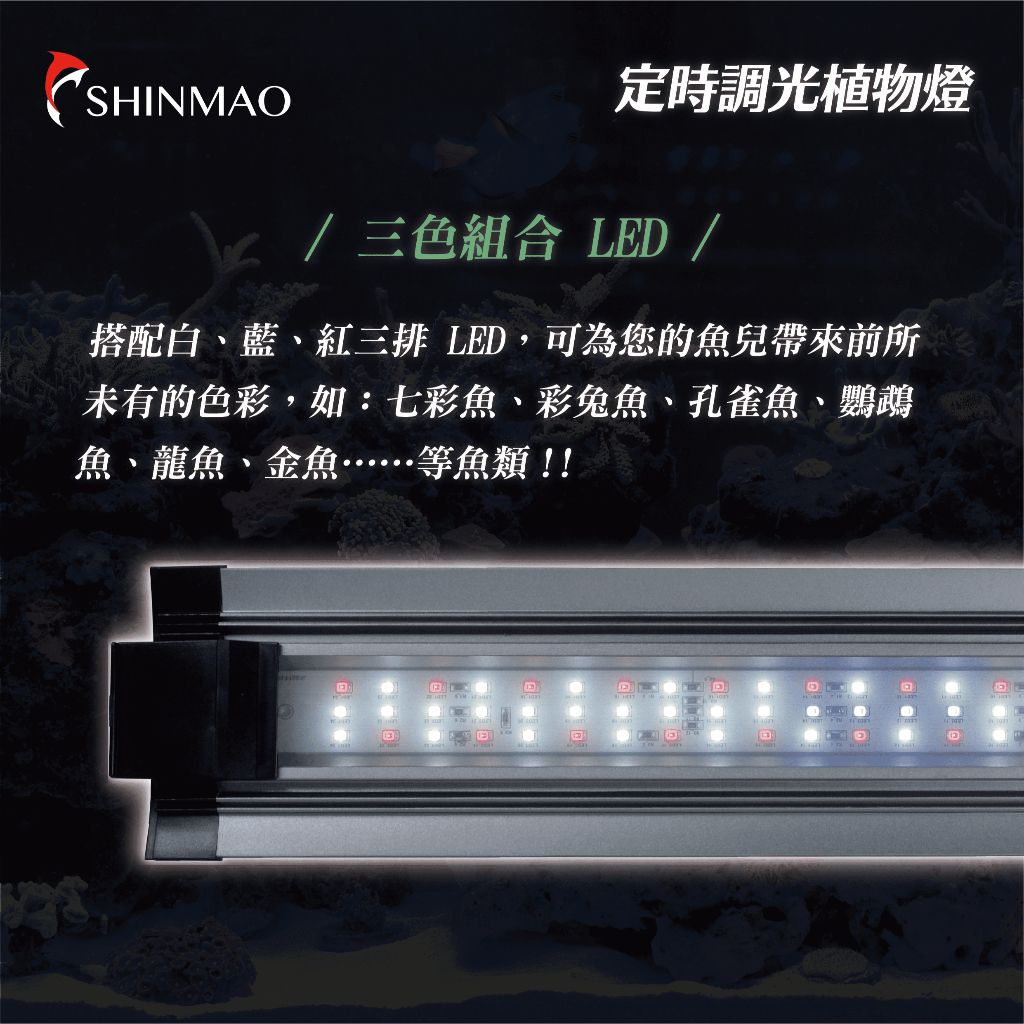欣茂水族2