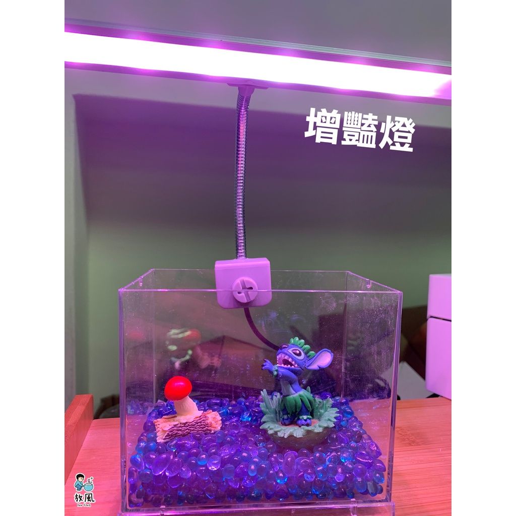 雅柏夾燈2