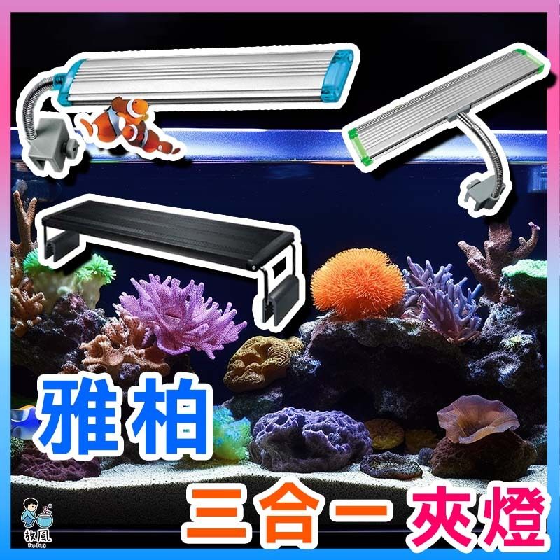雅柏夾燈1
