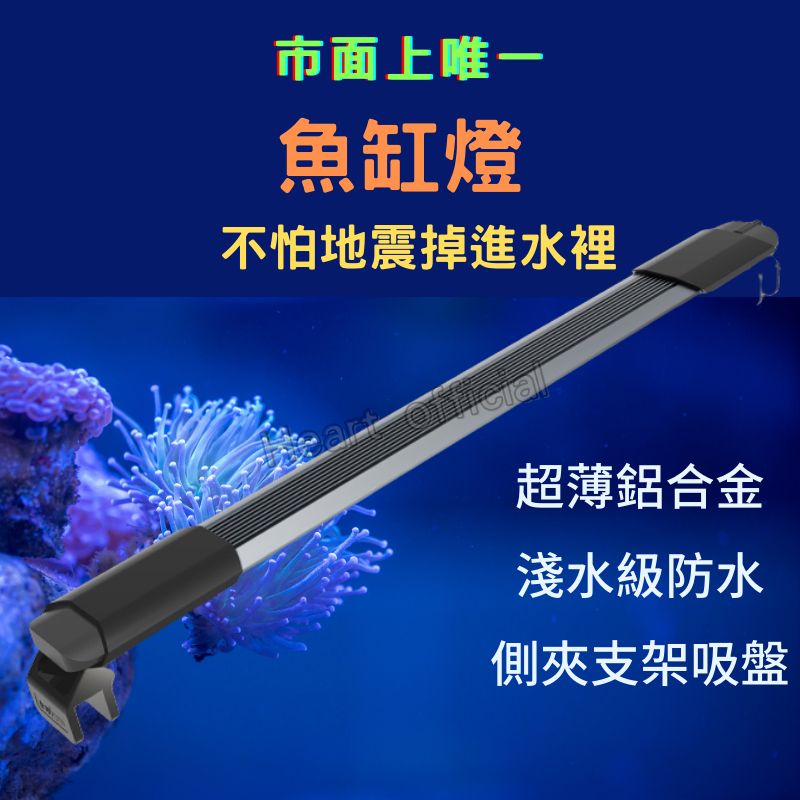 圖片1
