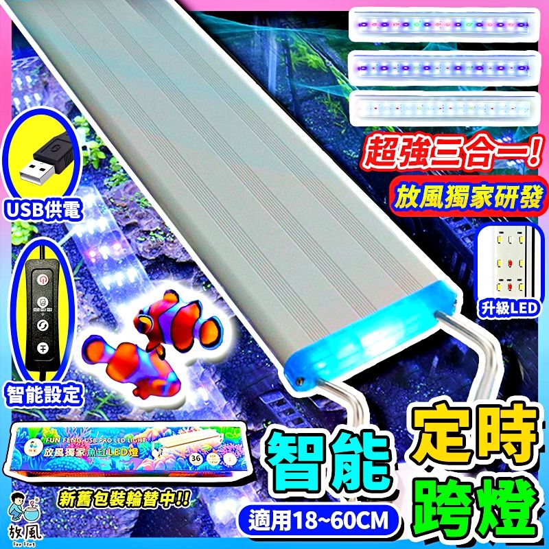 圖片1