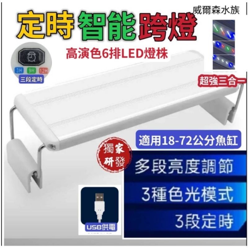 圖片3