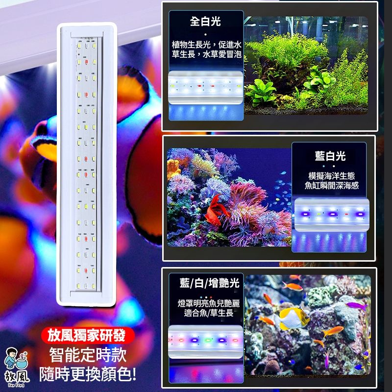 圖片3