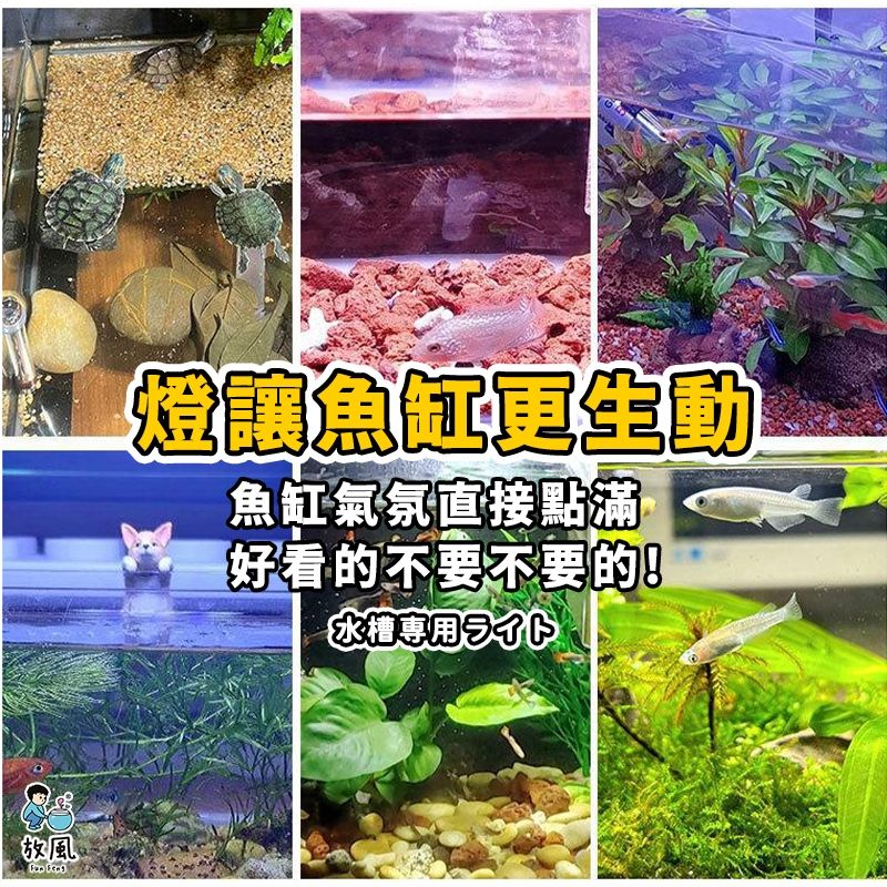 圖片2