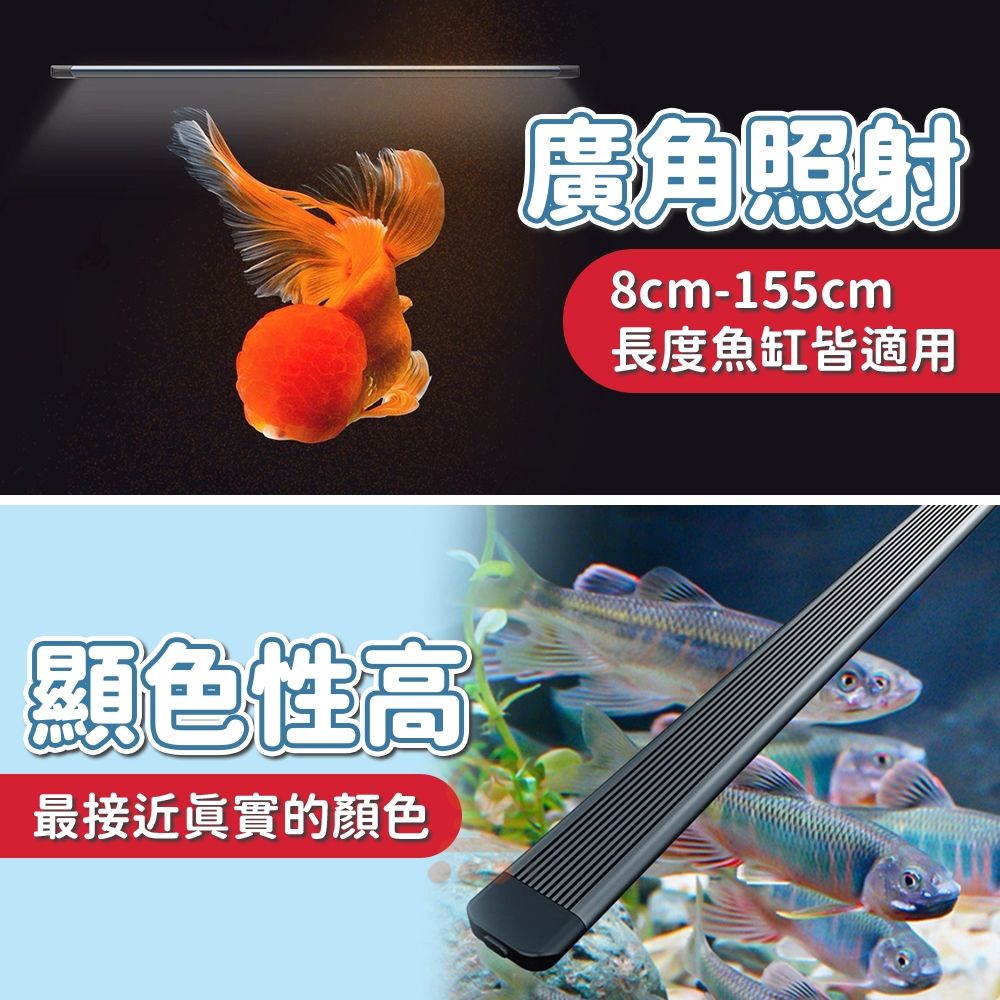 圖片3