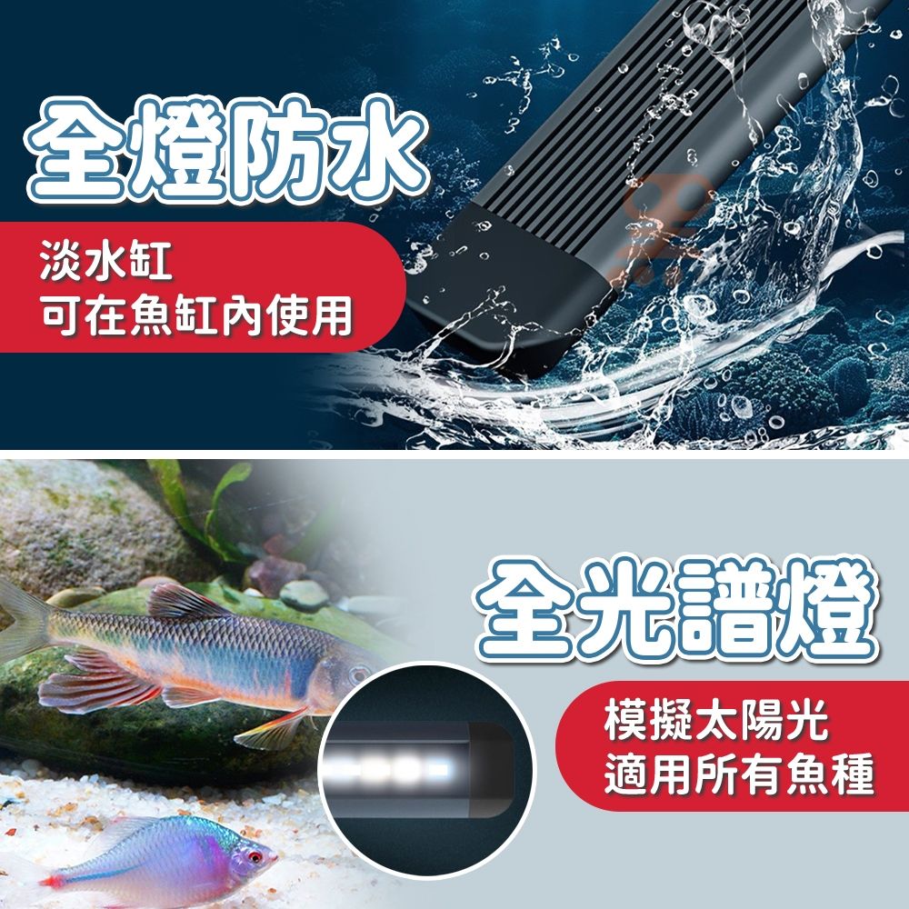 圖片2