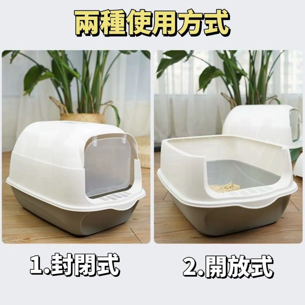 圖片3