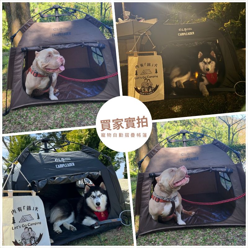 快樂毛毛1