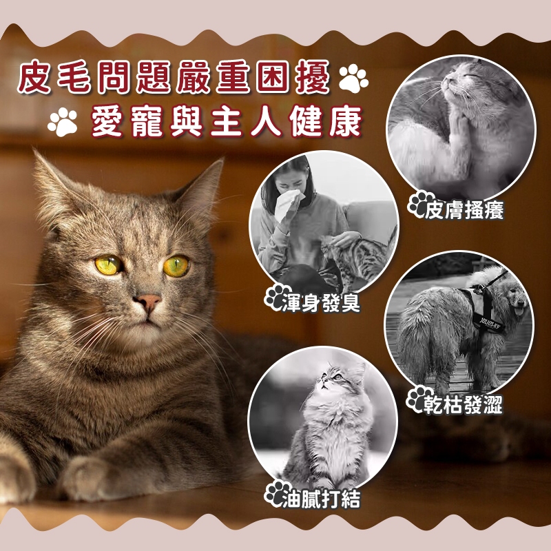 圖片2