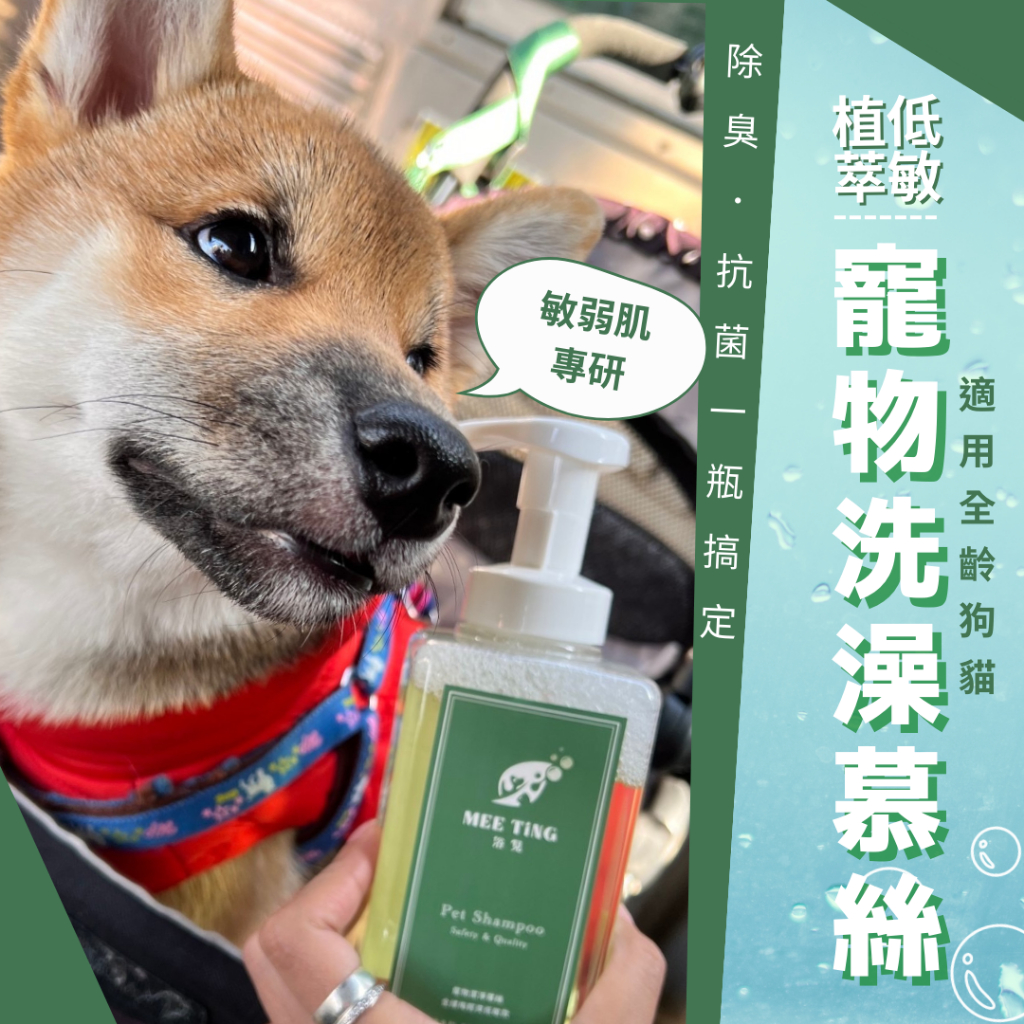 圖片1