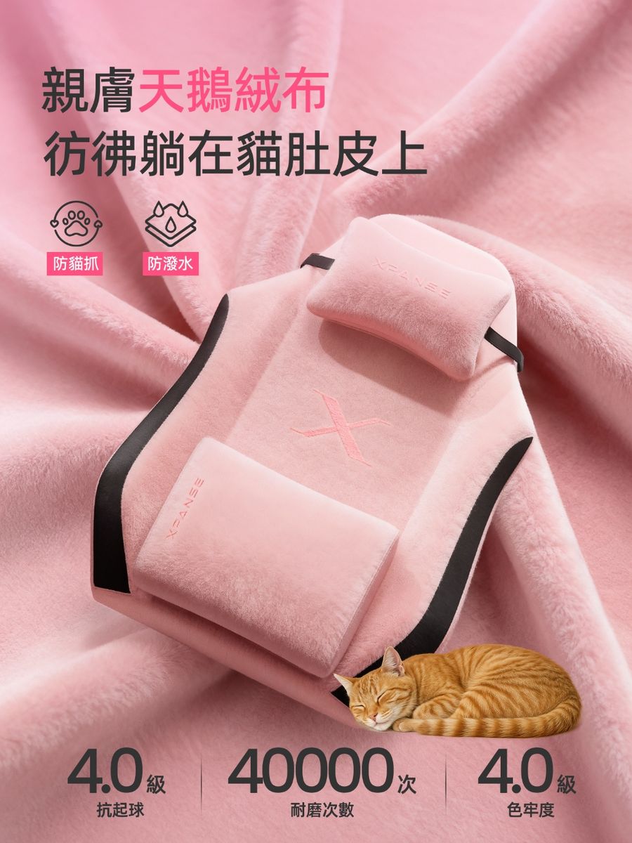 Xpanse X34 細節工藝