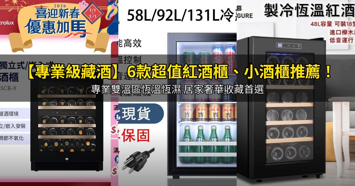2026【專業級藏酒】6款超值紅酒櫃、小酒櫃推薦!專業雙溫區恆溫恆濕 居家奢華收藏首選|PTT/Dcard嚴選