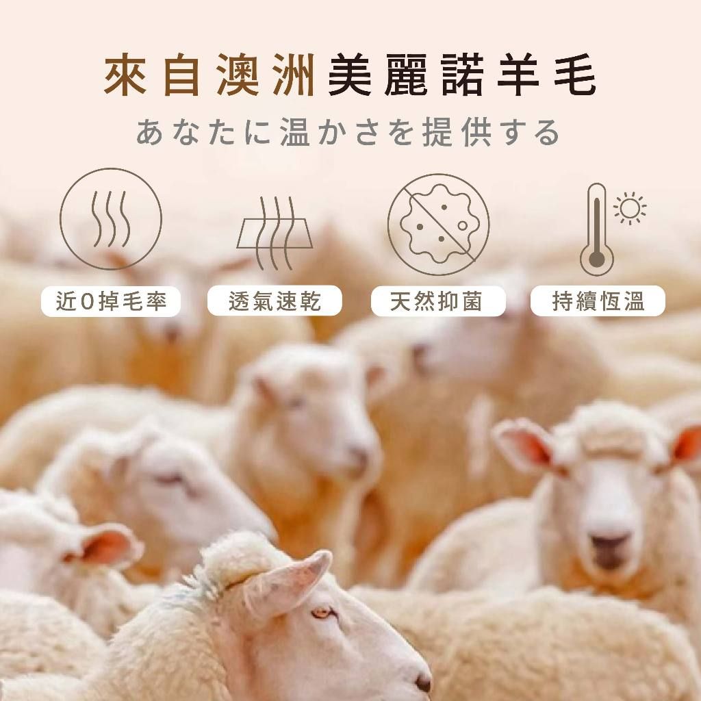 七七市集毛襪03