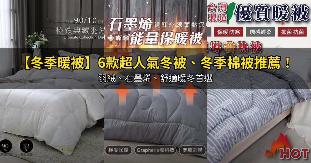 2026【冬季暖被】6款超人氣冬被、冬季棉被推薦！羽絨、石墨烯、舒適暖冬首選｜PTT/Dcard嚴選
