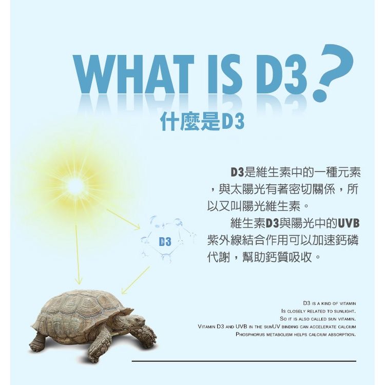 圖片2