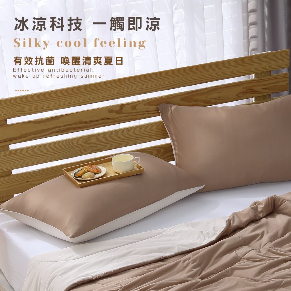 岱思夢雙面冰凍枕頭套-Q彈質感