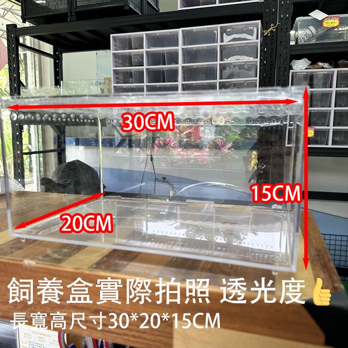 Image2