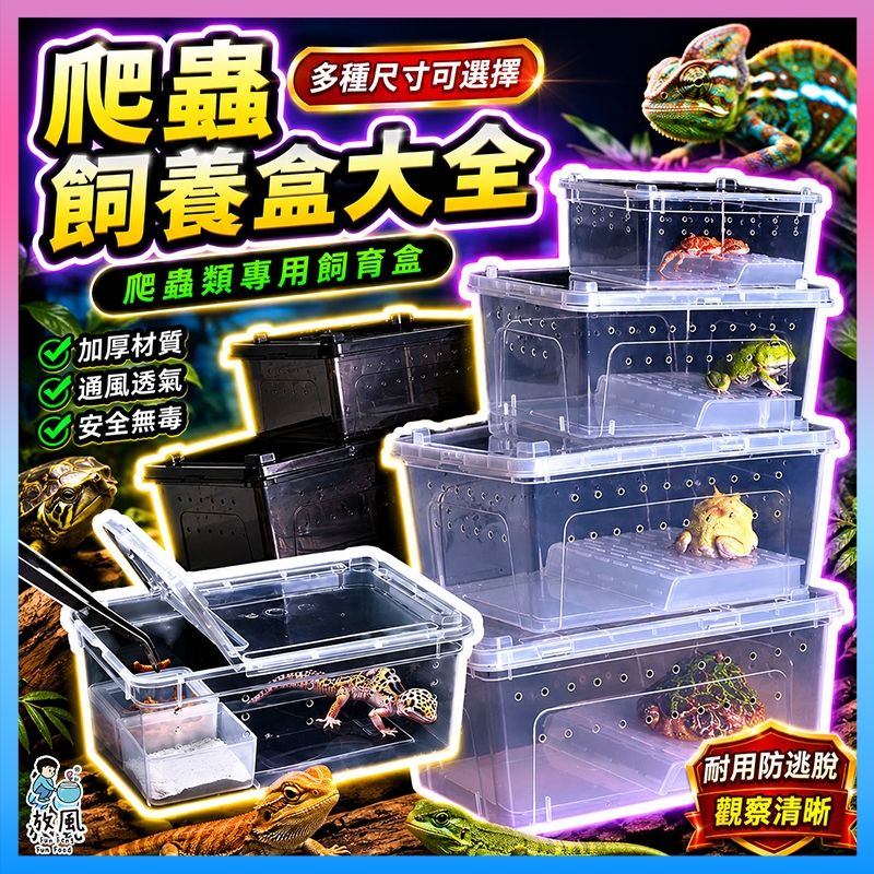 爬蟲飼養盒多功能實拍