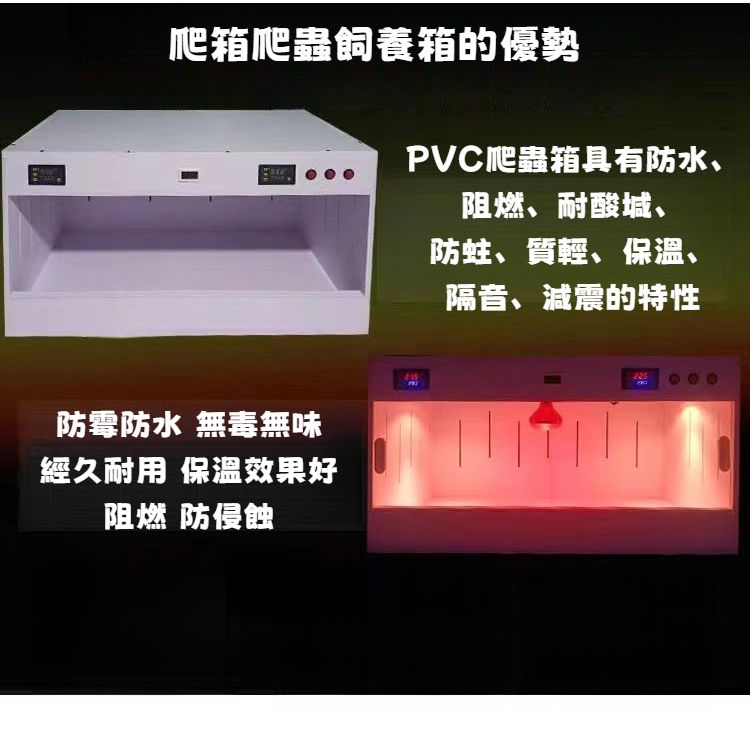 專業養蛇箱內部燈座細節