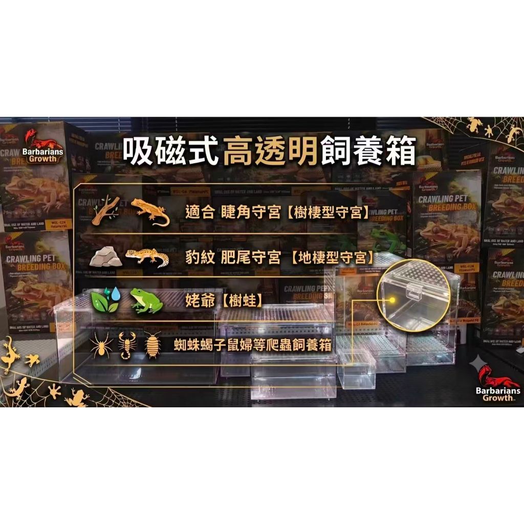 吸磁式壓克力箱多尺寸展示