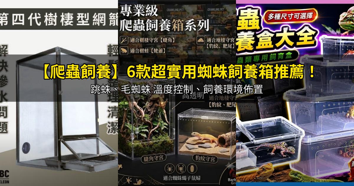 2026【爬蟲飼養】6款超實用蜘蛛飼養箱推薦!跳蛛、毛蜘蛛 溫度控制、飼養環境佈置|PTT/Dcard嚴選