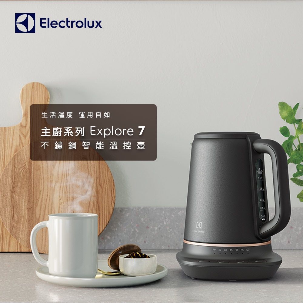 Electrolux 伊萊克斯 瑞典美學不鏽鋼溫控電茶壺