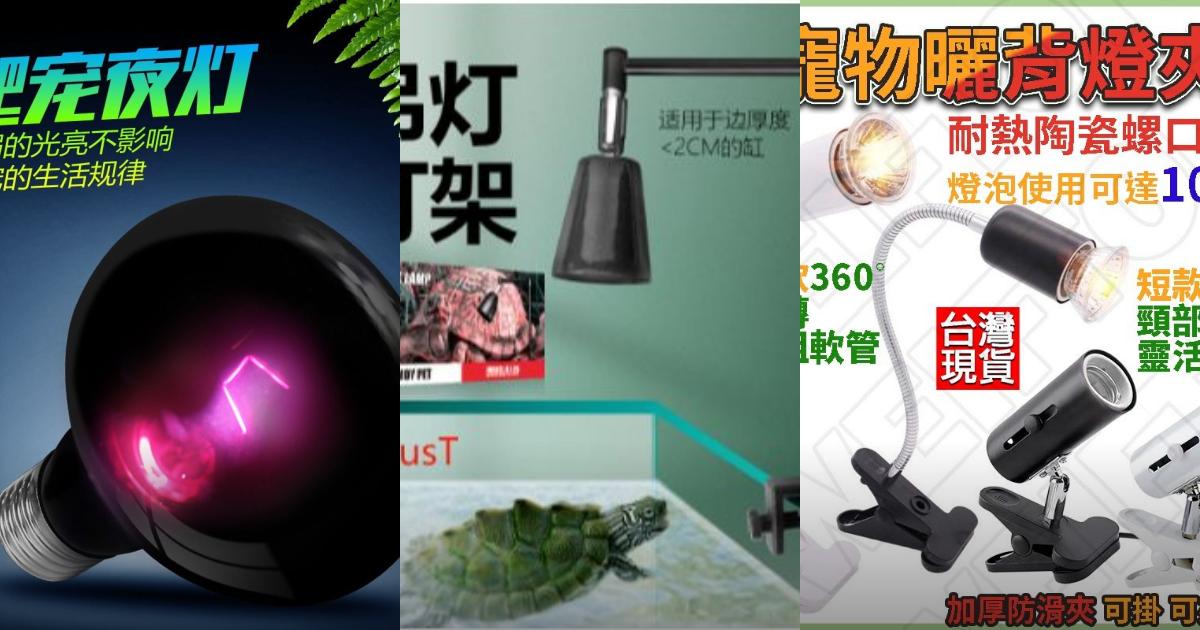 2025【爬蟲烏龜】4款曬背燈+燈夾推薦|高CP值保暖、安全耐用省電超實用