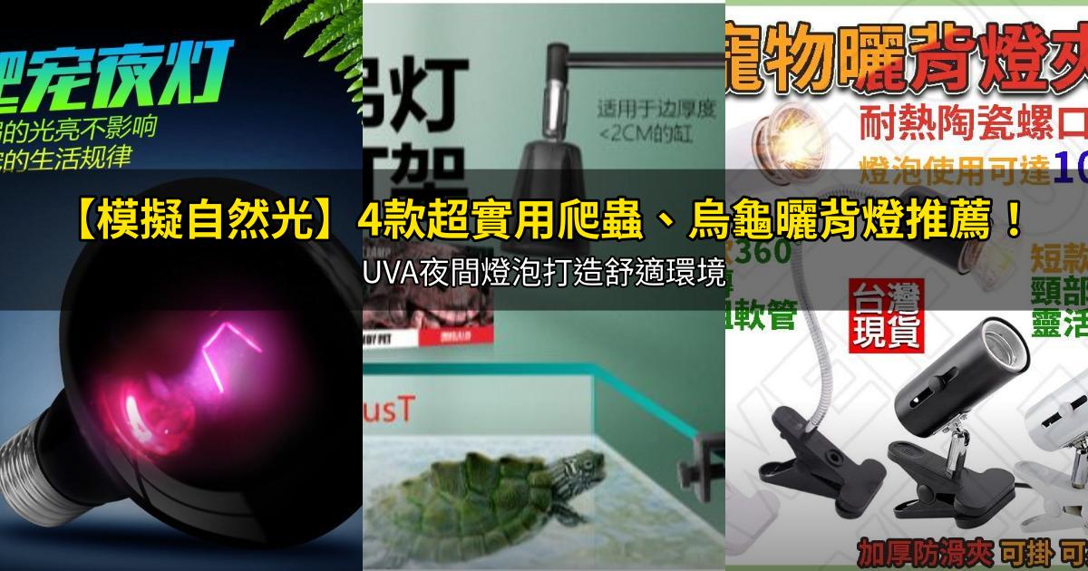 2026【模擬自然光】4款超實用爬蟲、烏龜曬背燈推薦!UVA夜間燈泡打造舒適環境|PTT/Dcard嚴選