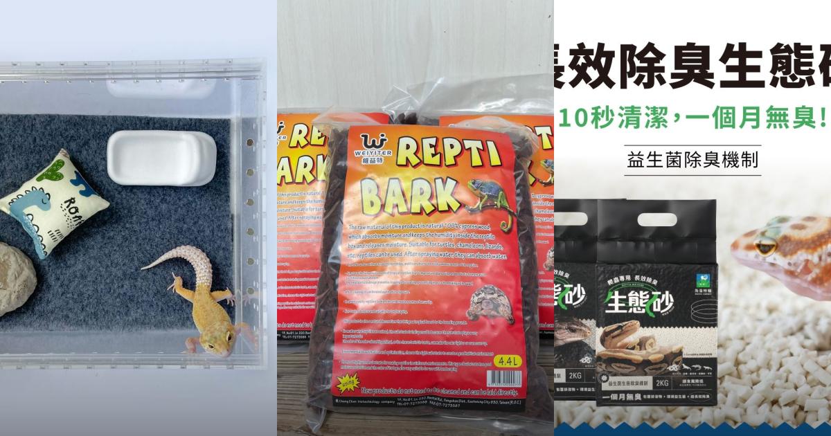 2025【守宮墊料】9款守宮底材推薦|天然除臭保濕高CP值環境,打造無臭舒適爬蟲窩