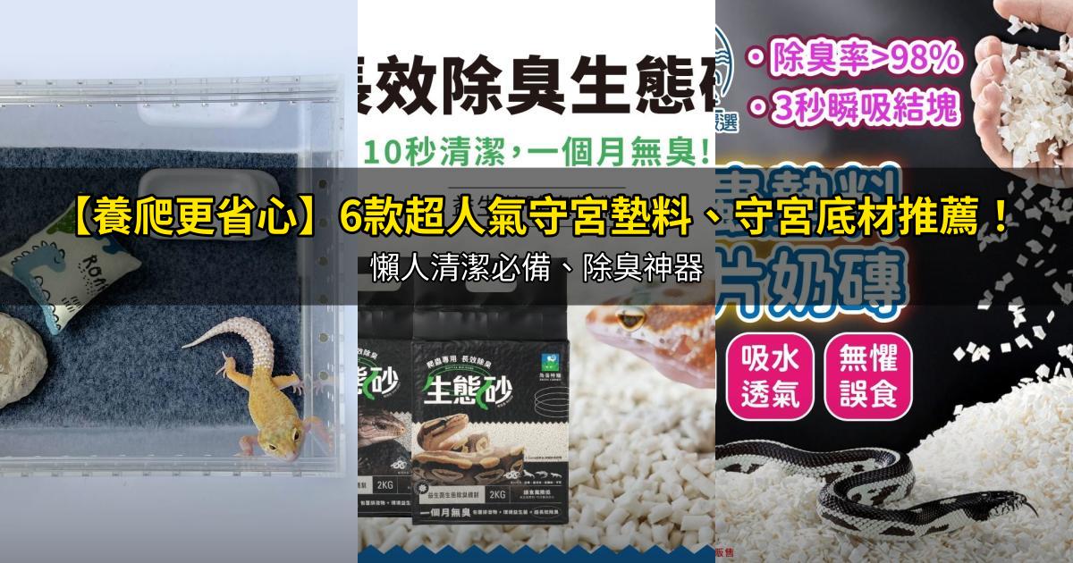 2026【養爬更省心】6款超人氣守宮墊料、守宮底材推薦!懶人清潔必備、除臭神器|PTT/Dcard嚴選