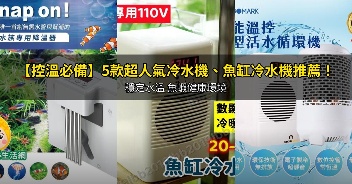 2026【控溫必備】5款超人氣冷水機、魚缸冷水機推薦!穩定水溫 魚蝦健康環境|PTT/Dcard嚴選